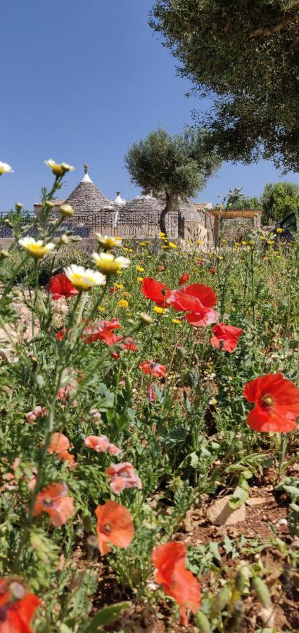 Trullo La Perla Di Pietra Villa Alberobello Eksteriør bilde